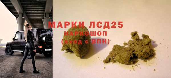 СК Балахна