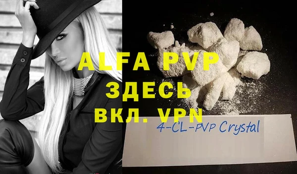 индика Баксан