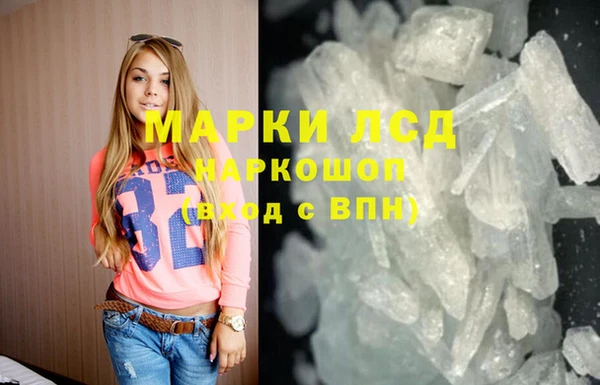 индика Баксан