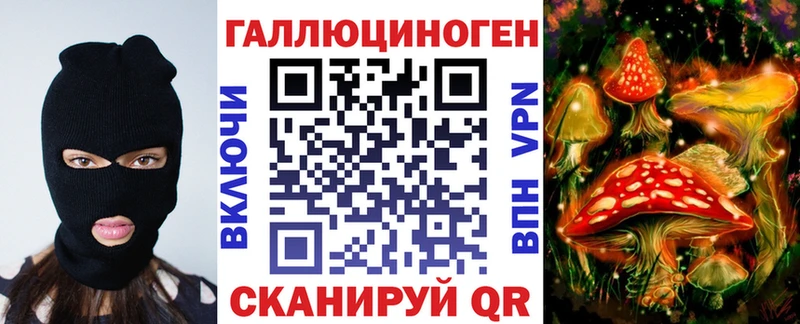 Галлюциногенные грибы Psilocybe где продают Грязовец