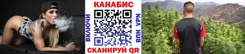 Бошки Шишки тримм  Грязовец 